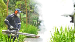 Best Lawn Pest Control  in Lakeside, OR